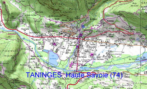 Plan Taninges